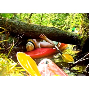 Karolina Karolinka Jędrzejewska